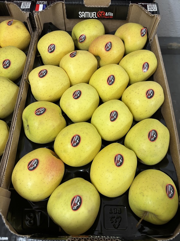 GOLDEN  80/85  H .ALP    FR