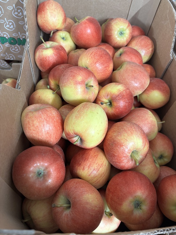 ROYAL GALA VRAC PROVENCE