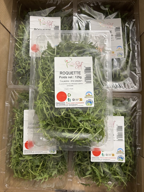 SALADE ROQUETTE 125G FR 8*125G