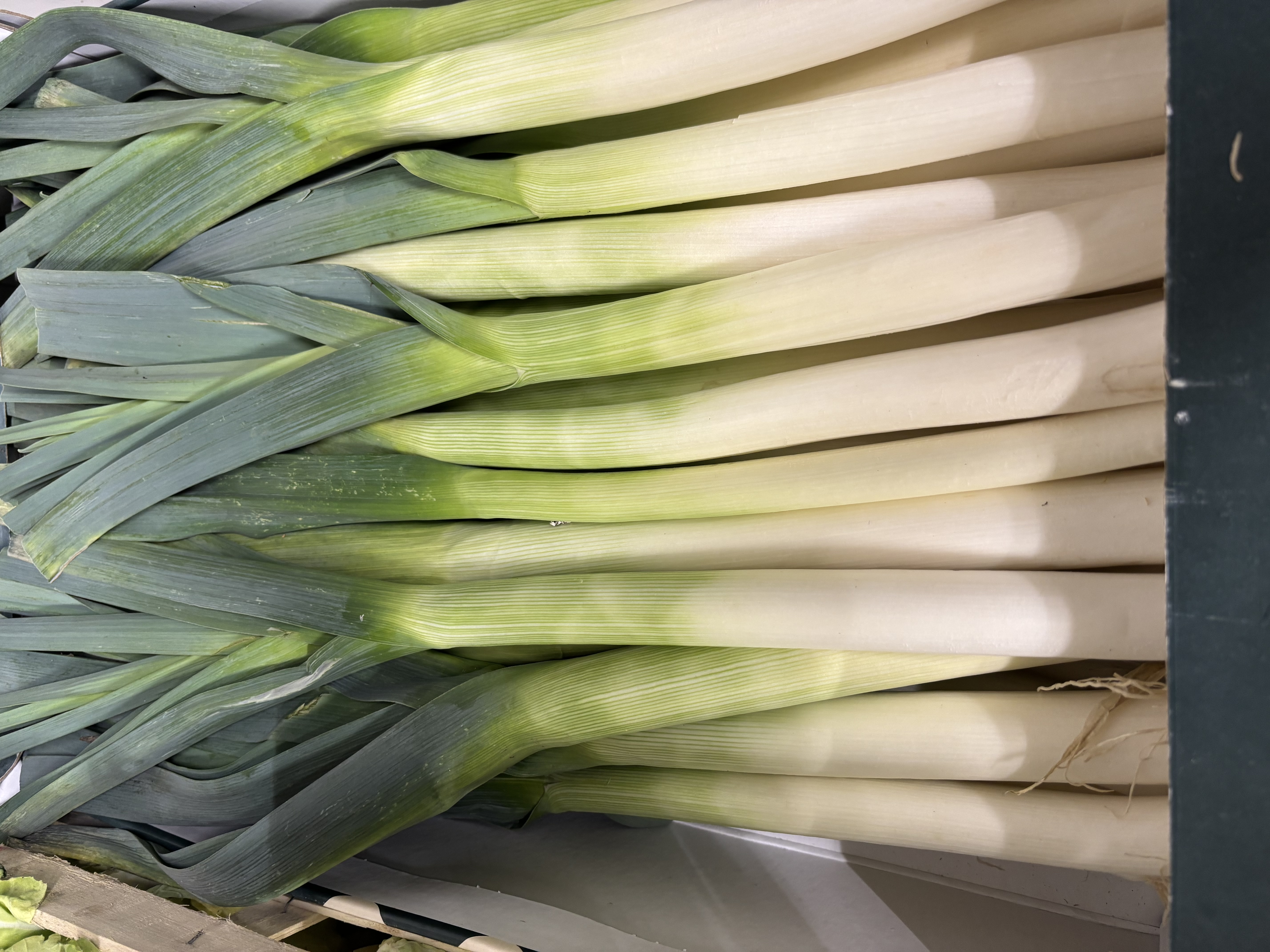 POIREAU  VRAC  BELGE