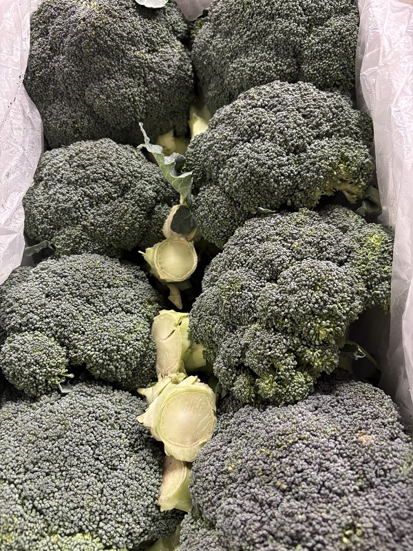 BROCCOLI  ESP