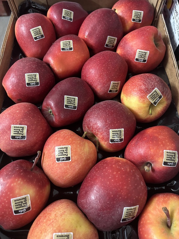 ROYAL  GALA  PLATEAU FR