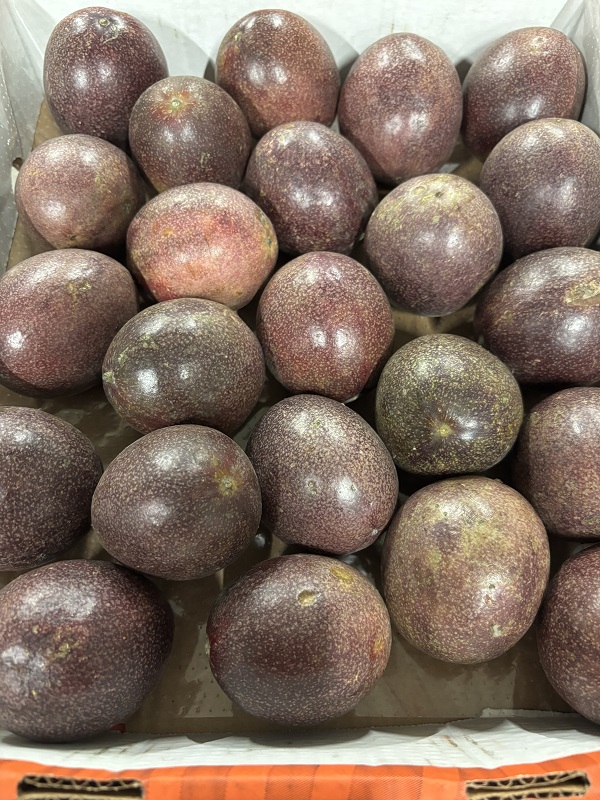 FRUIT DE LA PASSION VIET NAM