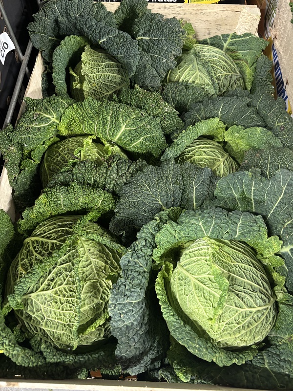 CHOU  FRISEE   CORSE   FR