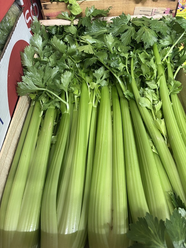 CELERI  BRANCHE   FRANCE