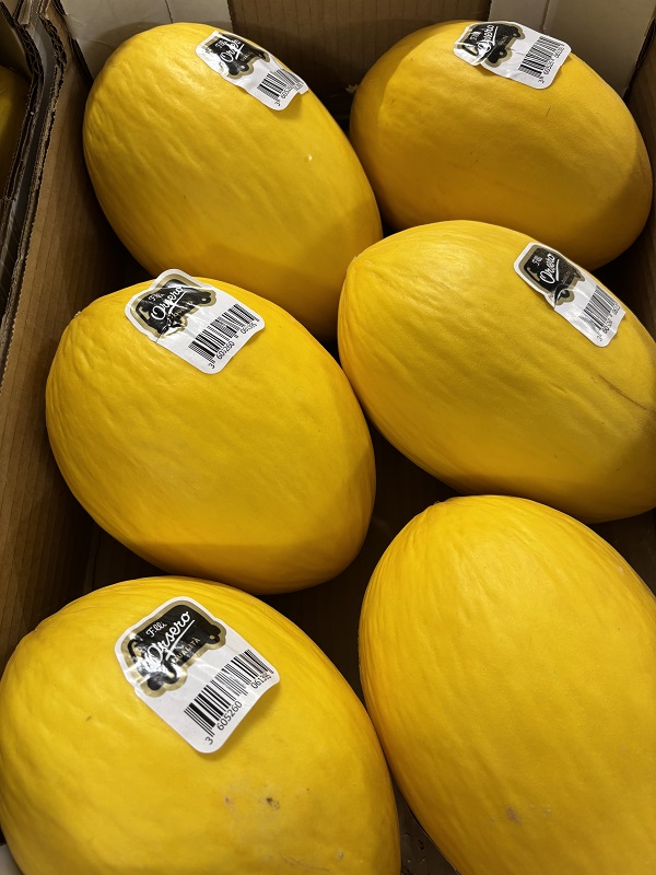 MELON  JAUNE   BRES