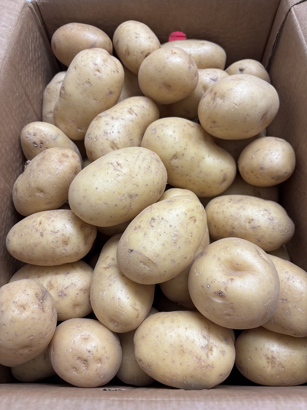 PDT NOUVELLE  CARTON AGATA 12.5 KG  FRA